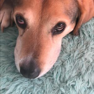 Meet your Posher, Jillian